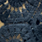BLACK GIUPURE | 4161