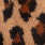 FILS PASTA JACQUARD LEOPARD | 5843