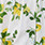 CITRUS ECRU | 6180